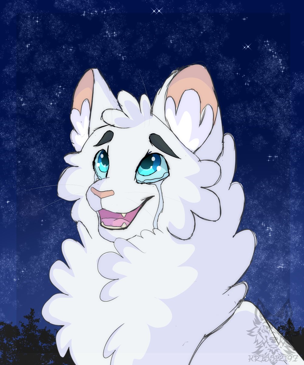 I feel bad about my art so I'm going to show you guys a thread of all the  #warriorcats art I did this year.I've never drawn cats before this so honestly? I'm kind of proud of the progress I've done with them.