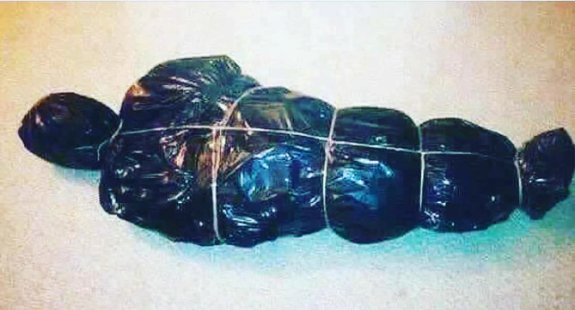 オランダの警察がクリスマスツリーを処分する様子が？完全に勘違いされてしまうwww