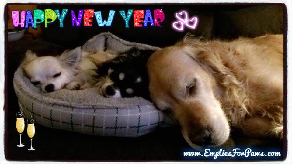 Happy New Year 🍾🥂