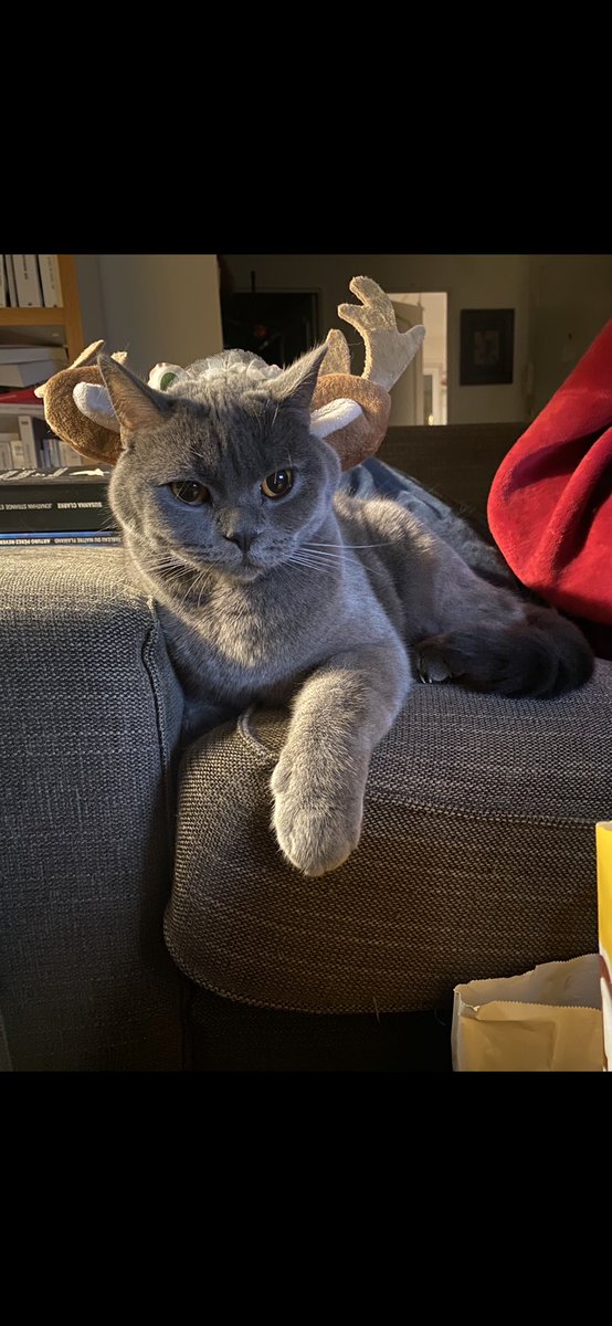 sakurisabelle's tweet image. Bonne année dans la joie et la bonne humeur 😊