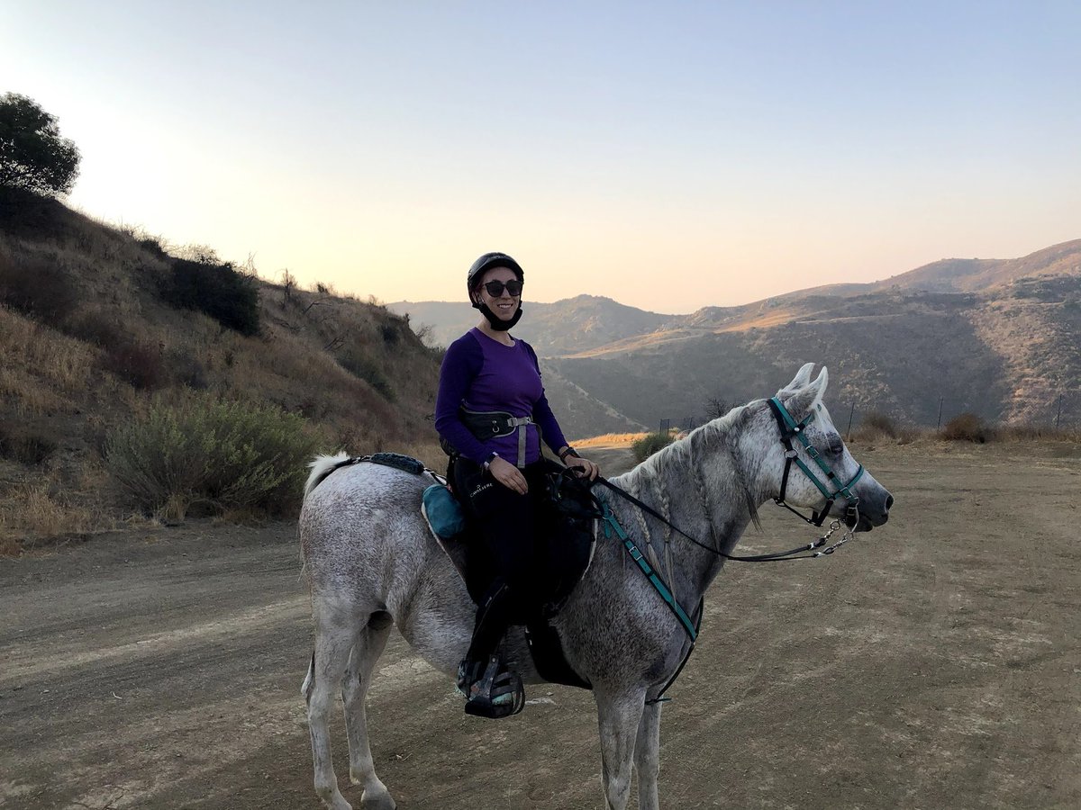 I started typing what I was hearing, thinking maybe 4 friends who knew I'd been watching TWW would be amused.It went on for a while, it reached a conclusion, I went to bed. I needed to ride a horse at 5 AM the next morning. I was up here by the time I checked my notifications: