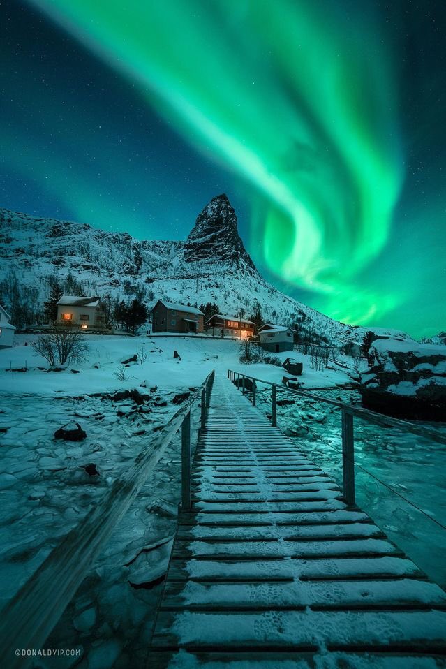 Norway 🇳🇴 #LofotenIslands #northernlights #auroraborealis #travel #travelgoals