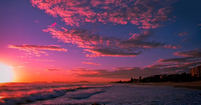 tropicalitytips's tweet photo. Pic of the Day…Orchid 💗💜💗
https://t.co/HUxZ0VjKS0
#sunsetphotography #sunset2020 #sunsets https://t.co/XbmBeMXsh8