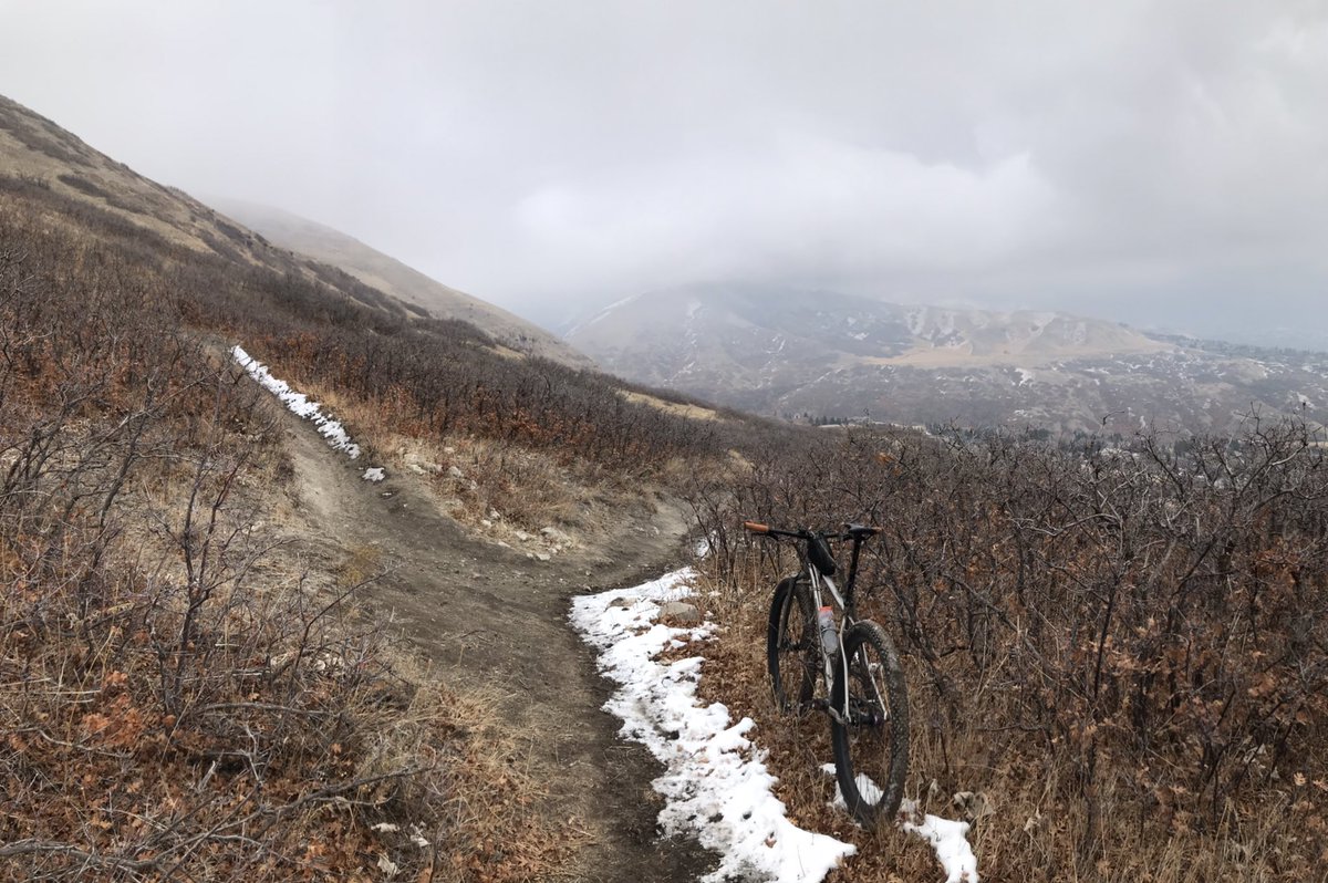 carborocket's tweet image. Happy new year, all y’all! Ride yo bike, be happy!