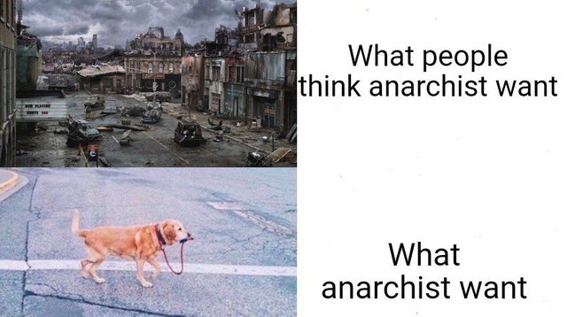 theserfstv's tweet photo. This meme is both cute and true https://t.co/aDdyQos7tm