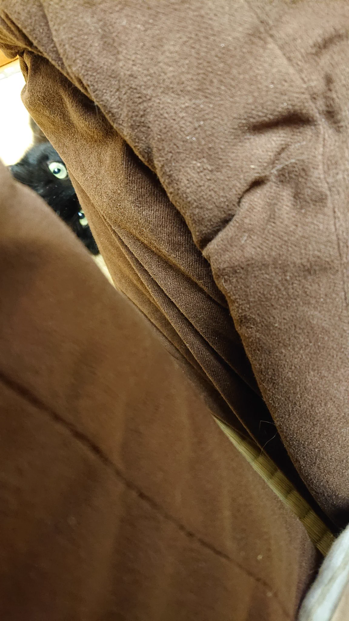 @kyuryuZ 我が家のにゃんこは
ソファーの間から
狙いを定めてます💧 