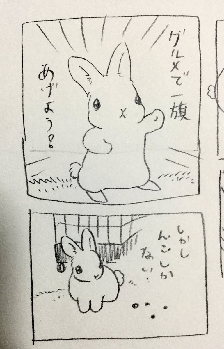 うさぎきんちゃんーんこ物語ー 