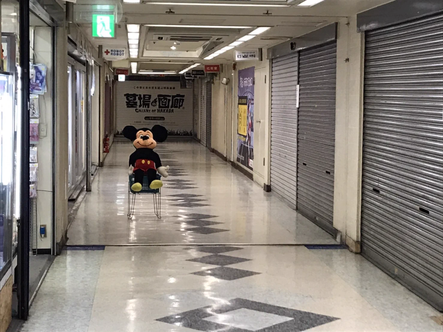 全然人気のない中野ブロードウェイに？ちょっと怖いものがいたwww