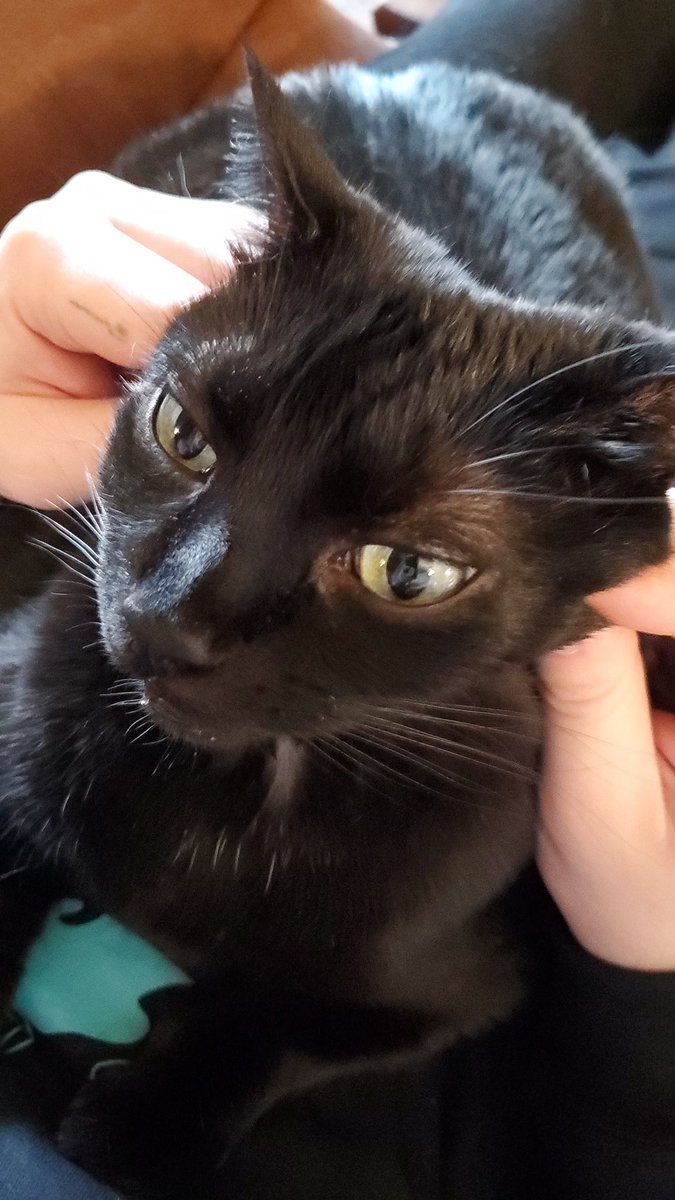 buttstuff4ever's tweet image. Hello