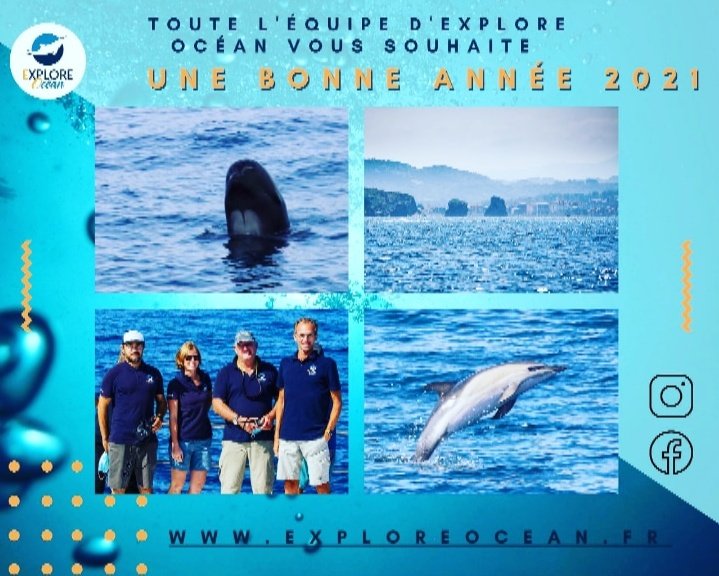 Explore_Ocean's tweet image. 🌟Une bonne année à tous🍾
🐳 A très vite pour de belles rencontres à bord d'Atalaya ! ⚓

ww.exploreocean.fr