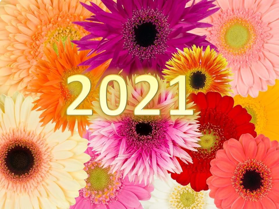 Happy New Year! We hope that 2021 will be so much better for everyone.  Wishing you a safe, healthy, and prosperous New Year! #HappyNewYear #gelukkignieuwjaar