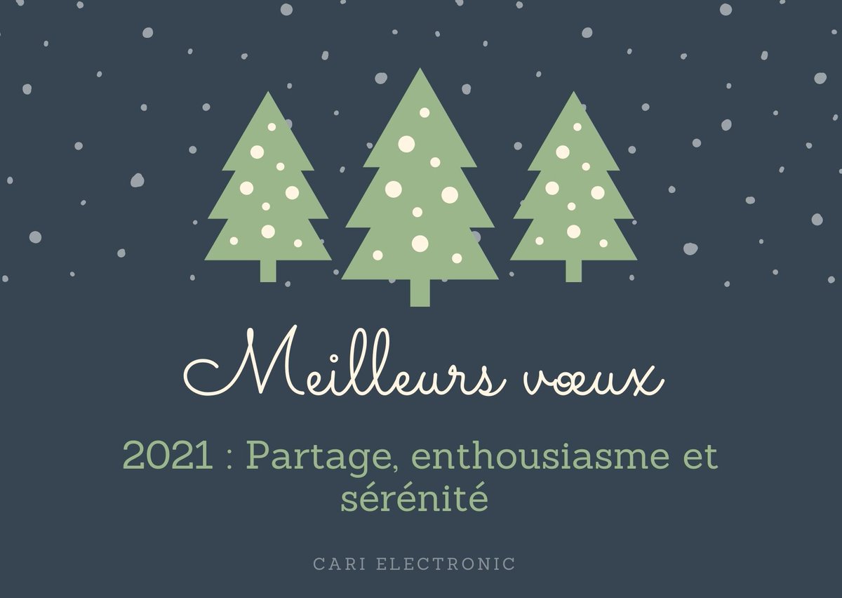 CARI_Electronic tweet media