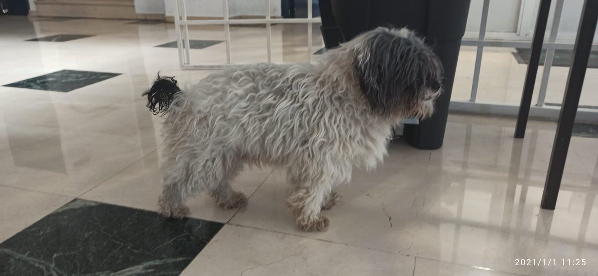 Se ha perdido. Está en Calatrava, 47