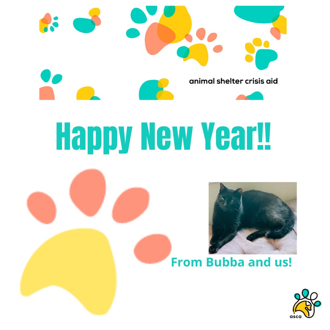 Happy New Year!!!🎊 <a href="/espeanimalve/">Esperanza Animal</a> <a href="/reinosoj2/">Javier Reinoso</a> <a href="/SANTUARIOLUNA/">Santuario Luna 🇻🇪 INSTAGRAM</a>