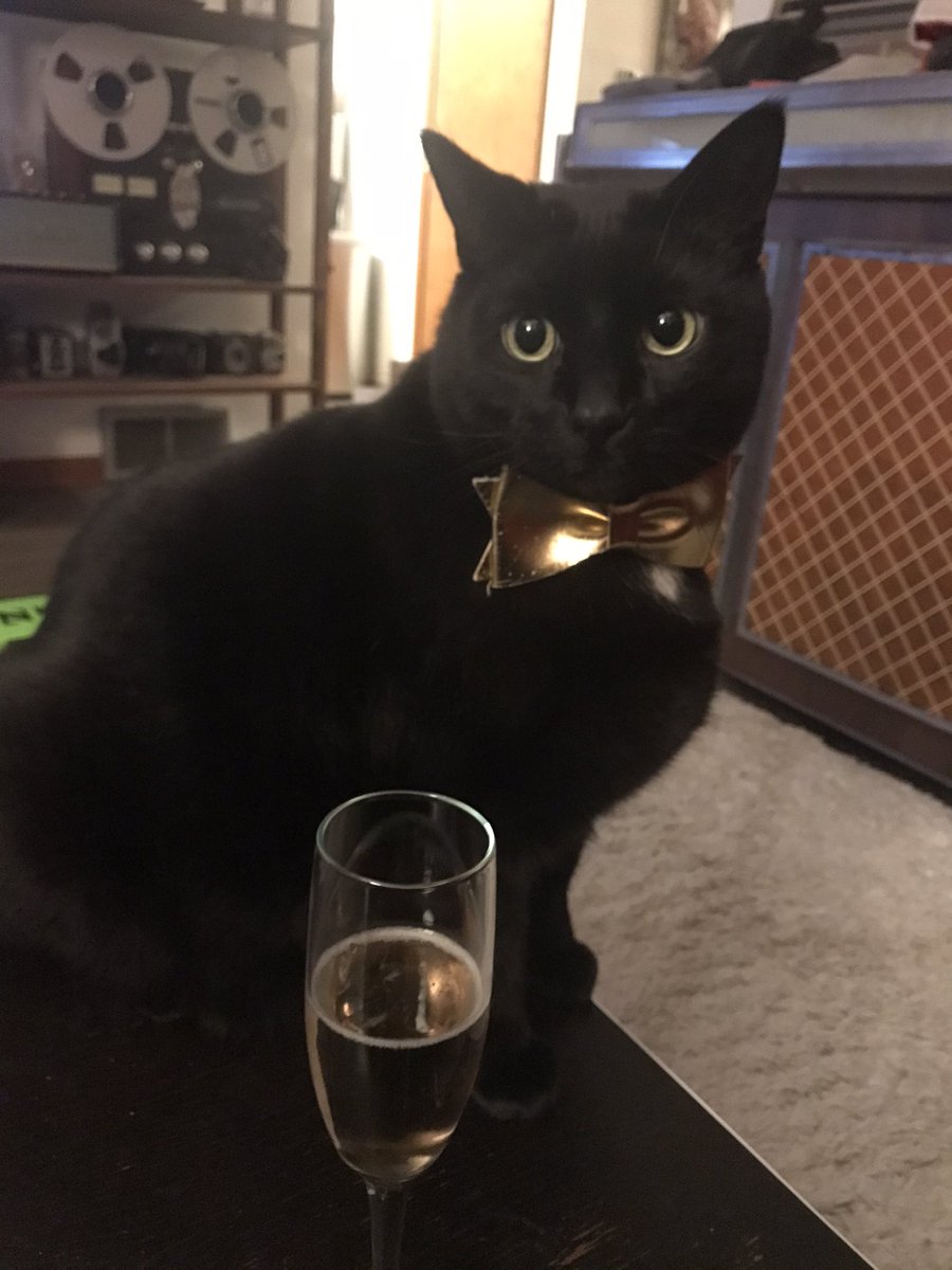 chrisstrouth's tweet photo. eanwhile In minneapolis Mr. Spike Jones ESQ, CAT wishes you a happy New Years #ccnnye https://t.co/paFRUp3iH5