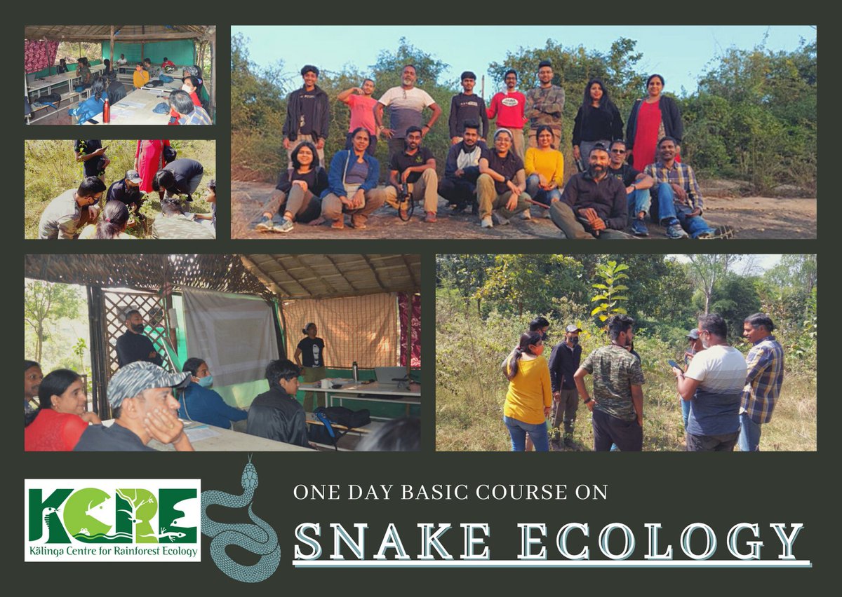 KalingaCRE's tweet photo. Basic #snake #ecology #course conducted on 26th Dec had people from different backgrounds but with one goal....to explore, to unlearn the wrong and to learn about snakes the right way.
#KCRE #Basicsnakeecologycourse #snakes #sankesofindia #snakeworld #snakeecology #snakecourse https://t.co/QCIv2vgm8c