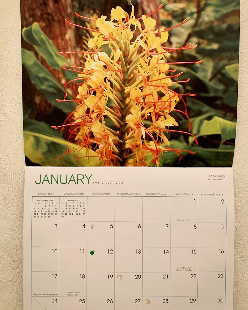 Mari Udagawa ハワイの花のカレンダー 1月はカヒリジンジャー カヒリの名前通りの赤と黄色の花 形もカリヒそのまま 良い一年になりますように インスタもみてね T Co Emhqorgzpe ハワイ ハワイ旅行 21年もよろしくお願いします Mari Udagawa ハワイの花のカレンダー 1月はカヒリジンジャー カヒリの名前通りの赤と黄色の花 形もカリヒそのまま 良い一年になりますように インスタもみてね T Co Emhqorgzpe ハワイ ハワイ旅行 21年もよろしくお願いします