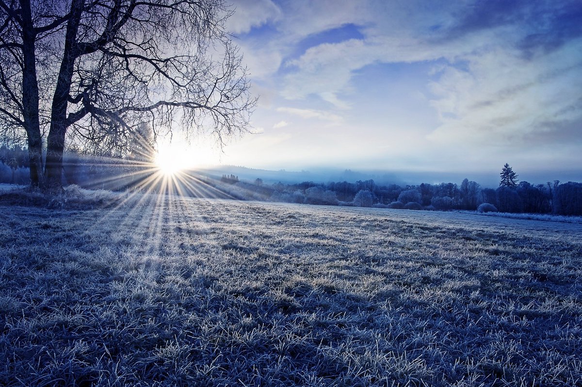 "Hope is an emotion we need to make the best of life, and it is accompanied by great happiness. If hopes begin to fail us we are in danger of losing all feelings of hopefulness. Hope turns to despair. There must remain always something to hope for." ~C.R.Milne #HappyNewYear2021