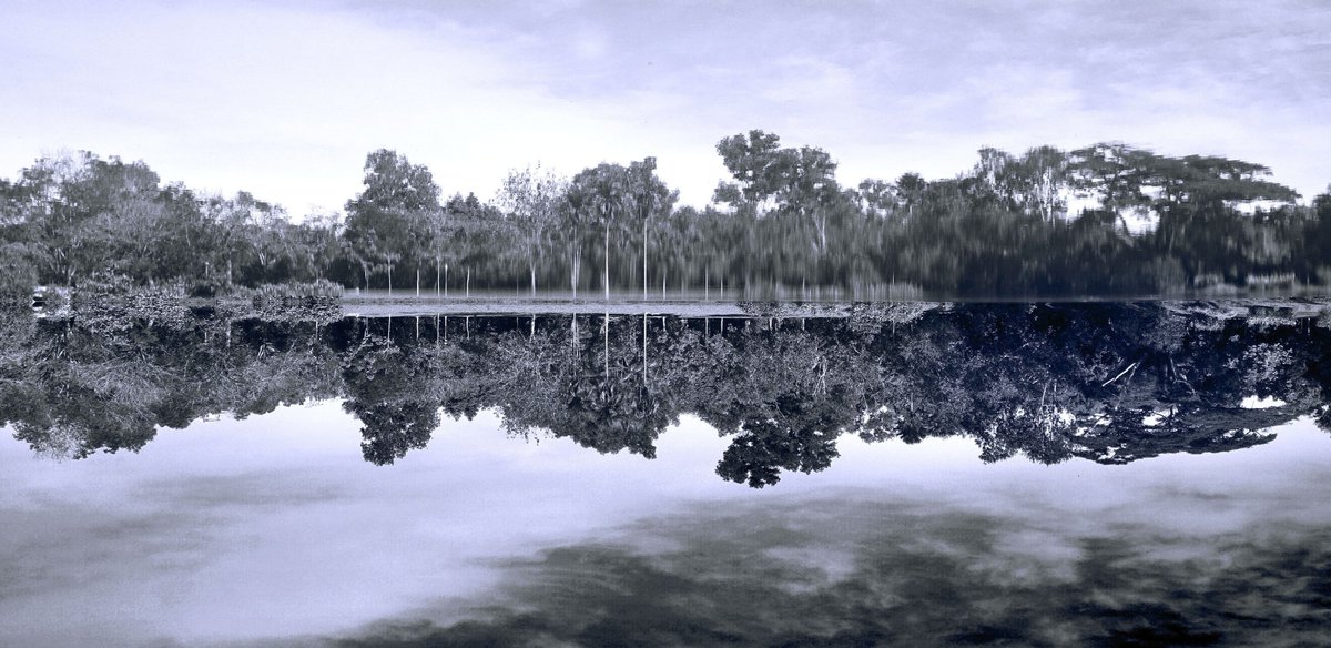 visual_by_esl's tweet photo. Nature in Reflection

Auld Lang Syne 2020
#lakereflection #natureinblackandwhite #likasjoggingtrack #blackandwhitephotography #naturephotography #travelphotography https://t.co/wNOMnEjCBH