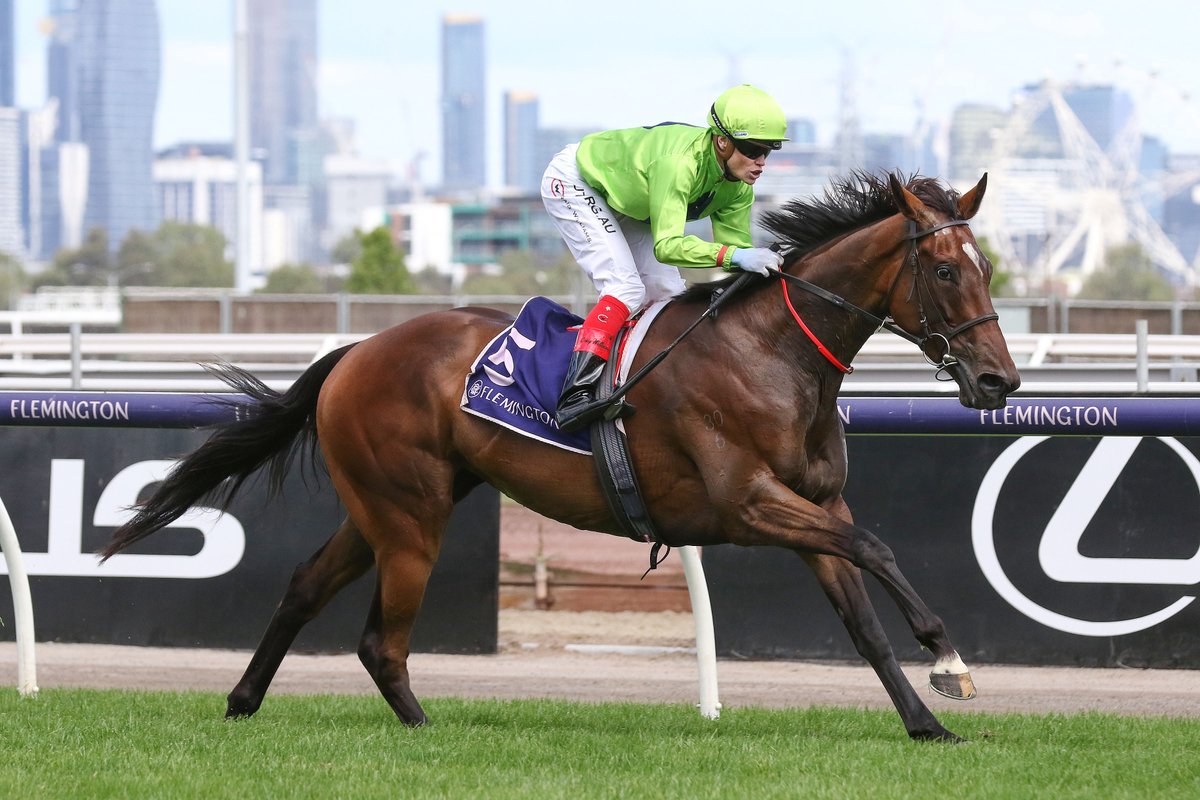 nzracingnews's tweet photo. NEWS: @wilde_racing has a serious stayer on their hands with #TraleeRose winning the Listed Bagot Handicap @FlemingtonVRC on Friday by a big margin
https://t.co/tIytGLkWHC https://t.co/TYC6h8p9ev
