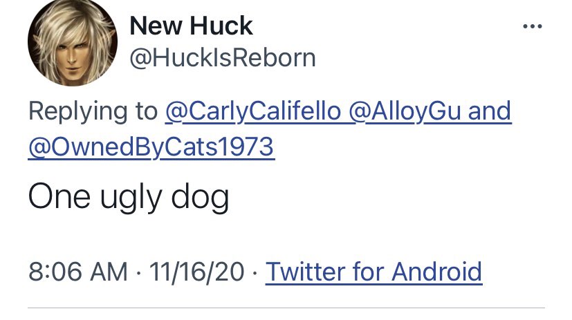 WokeChiweenie's tweet photo. #BestOf2020 #Bye2020 #HighlightsOf2020 - my DOG ended 2020 the most famous member of the family on twitter. Yes Stella was fat shamed with POTUS and tagged in more tweets then I can count, anonymous then doxxed myself and @OwnedByCats1973 over it thinking we were Qanon, MY DOG https://t.co/C8TeoPVDrw