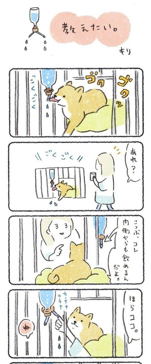 内側からもお水が飲めることを知らない犬と、
なんとか伝えたい飼い主

明日もなにかアップします?

改めて、新年あけましておめでとうございます!
#豆しばこつぶ 