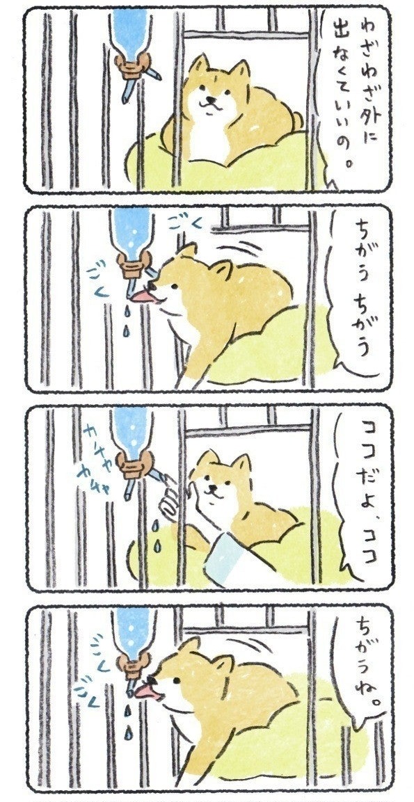 内側からもお水が飲めることを知らない犬と、
なんとか伝えたい飼い主

明日もなにかアップします?

改めて、新年あけましておめでとうございます!
#豆しばこつぶ 