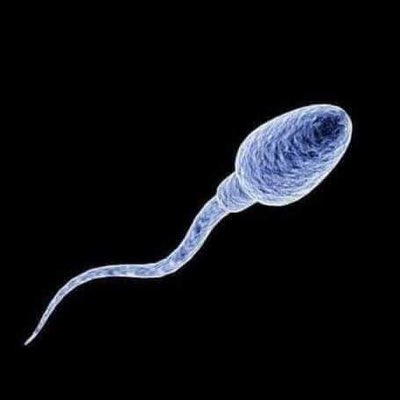NegroToit's tweet photo. #NouvellePhotoDeProfil https://t.co/5g97vTMdOz