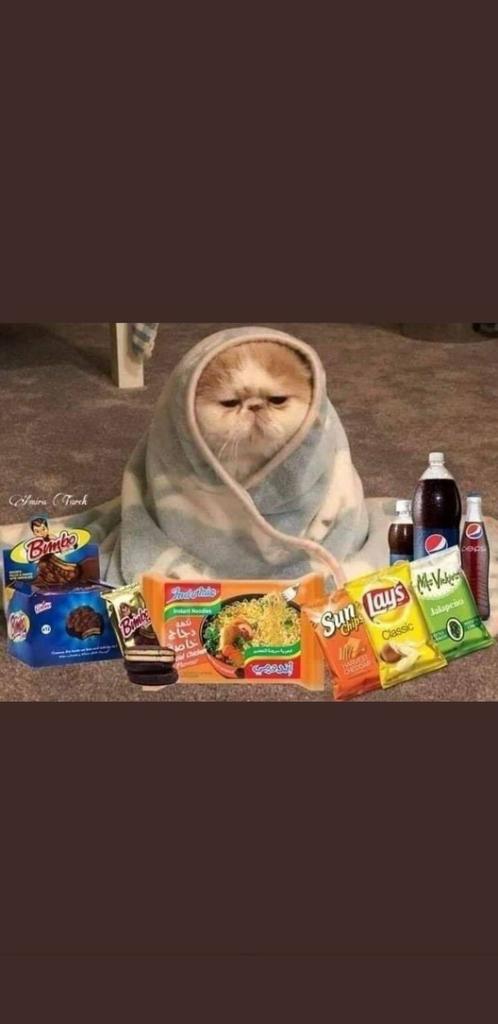 #رأس_السنة_الميلادية 
الناس يحتفلون 
انا: