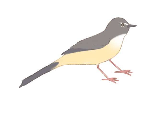 鳥のイラストのtwitterイラスト検索結果 古い順 鳥のイラストのtwitterイラスト検索結果 古い順