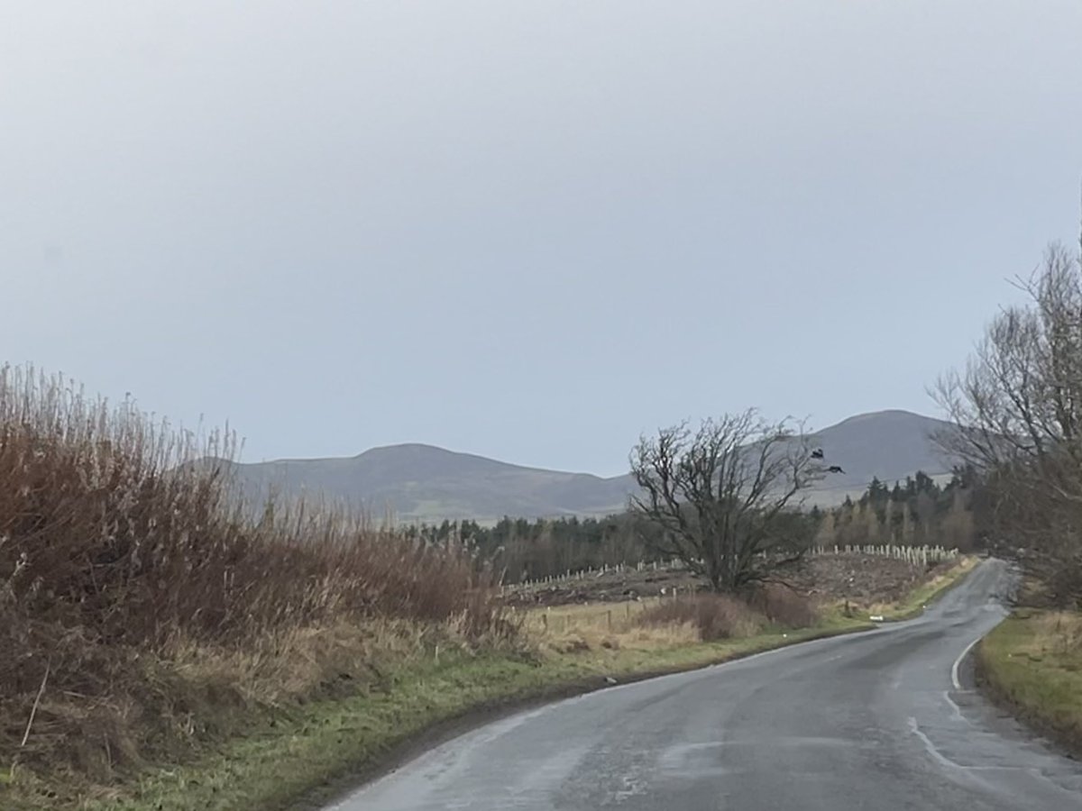 More nurses followed and we also had the skills of the well established Rapid Response Team to draw on.A steep learning curve for me, as a hospital doctor, working out what could and couldn’t be managed at home. The OTs and Physios took me out with them. They taught me a lot.