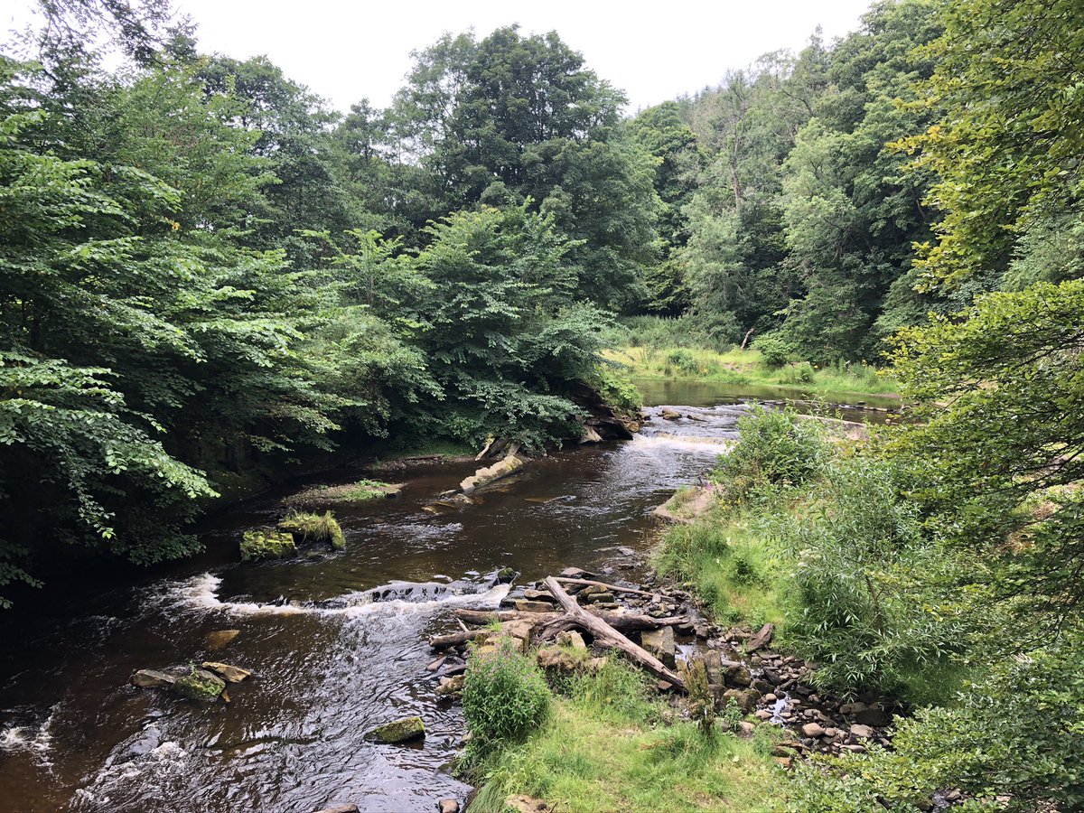 The carers taught me a lot too. The  @midgov Rapid Response carers had a lot of experience & were happy to teach the “new girl” a few things. Do you know how to get someone off the floor if they’ve fallen? Or how to assess whether they’re safe to stay at home? These guys do!