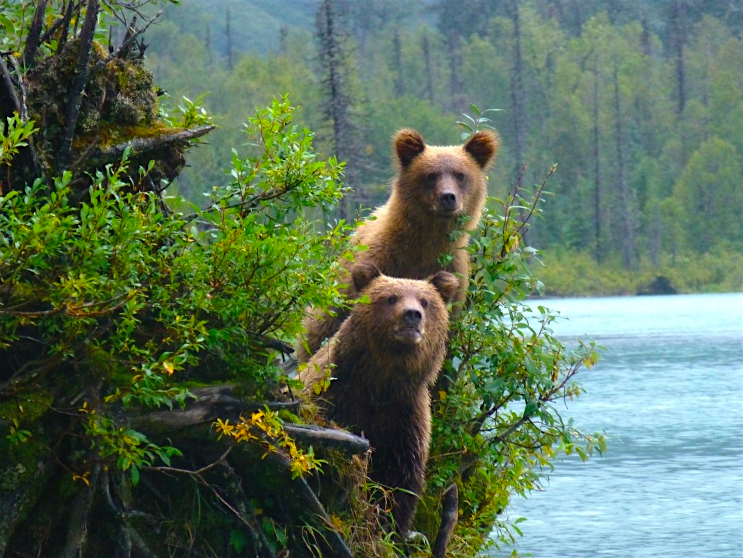 Happy New Year! Hoping 2021 will bring back all the great trips around the #FlyFishing world.
Fly Dreamers: Connecting the fly fishing travel industry.