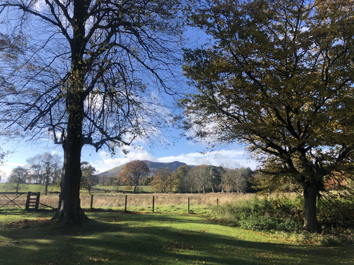 Another early lesson was not to overwhelm people with care. If you’ve never had strangers in your house before, suddenly having a “four times a day care package” can be very intrusive.Let’s go back to thinking about what’s needed immediately to deal with the crisis. Then adapt.