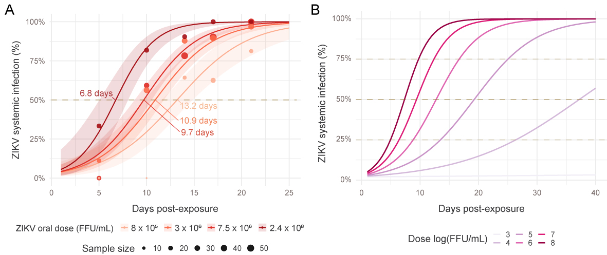 In addition, we shown that systemic (disseminated) infection is dependent of the interaction between the time post virus infection and the virus dose…and we modeled these relations to be able to make predictions.