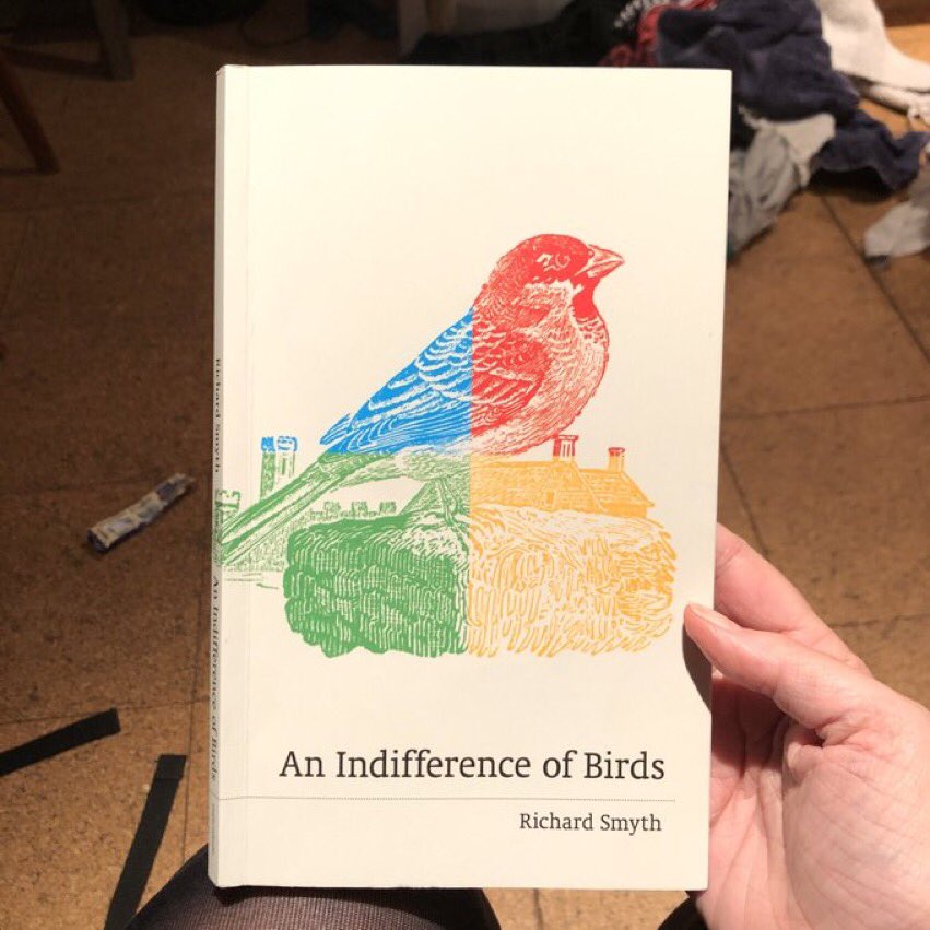 Finally: 4 books I know about from my SOCIALS. The opposite of Handke - where i think the human being is great too! But all these writers have done such lovely lasting stuff to my brain - I see birds, statues of women, dumplings, & the Upper Newtownards Road all differently now x