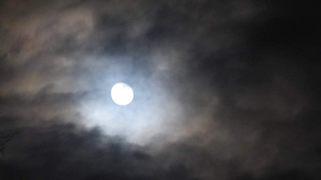 ctisom's tweet image. Lost Not 
...
You think we cannot see through darkness?
You forgot we do not crumble when our eyes cannot find the path at our feet.
We look up.
Heaven’s lights are vast, and we needed only one to be rekindled.

#2021year