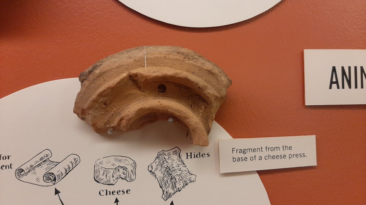 Small fragment displayed at the Verulamium museum, St Albans. Part of an excellent display on the different plants and animal remains found at the site and their uses.  @stalbansmgtrust  @stalbansmuseums