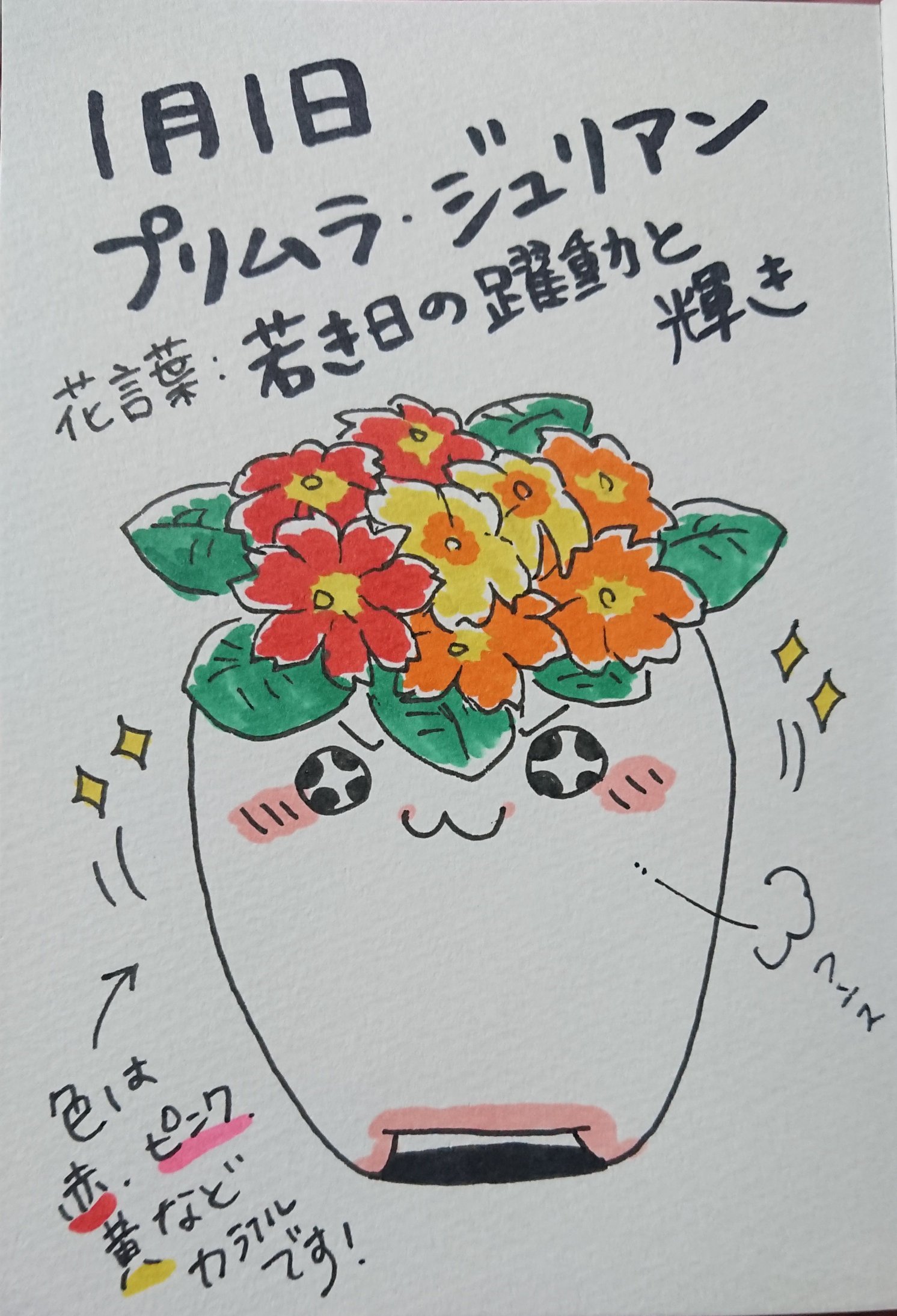 たかうみ 21年チャレンジ 今日から1日1枚イラストを上げて頑張ってみます オリジナルキャラクターです 勝手に書籍を参考にしてすみません 1月1日 プリムラ ジュリアン 花言葉 若き日の躍動と輝き フラワーたまごん 花言葉 T Co