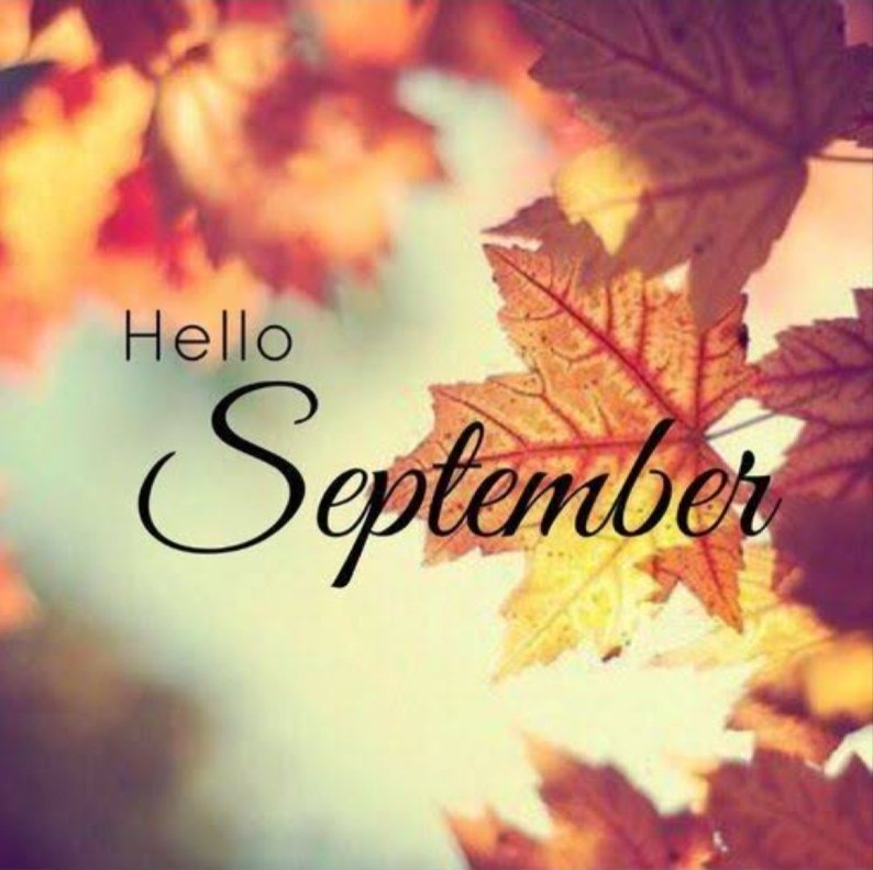 ~ 𝐬𝐞𝐩𝐭𝐞𝐦𝐛𝐞𝐫  #𝓢𝓱𝓪𝓱𝓮𝓮𝓻𝓢𝓱𝓮𝓲𝓴𝓱