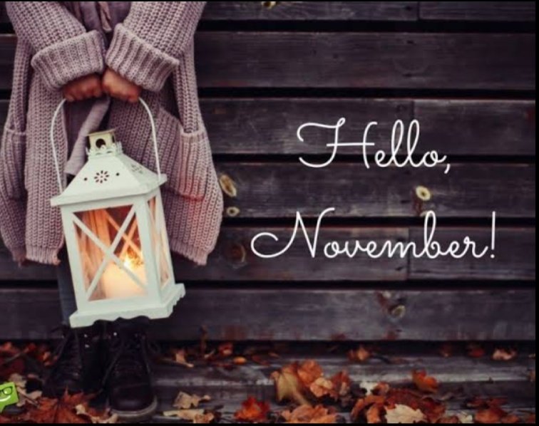 ~ 𝐧𝐨𝐯𝐞𝐦𝐛𝐞𝐫  #𝓢𝓱𝓪𝓱𝓮𝓮𝓻𝓢𝓱𝓮𝓲𝓴𝓱