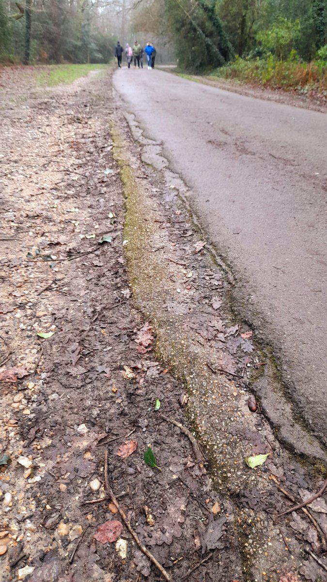 Starting 2021 off in style with some concrete spotting on Southampton Common. Second World War  #EmbarkingtheDDayArmada military concrete, since covered with tarmac twice. Also clearly visible is a typical passing place. There were 4 D-Day marshalling camps on the Common.
