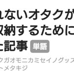 地味に役立つ？主に紙製グッズを収納するために必要なものをまとめた記事!