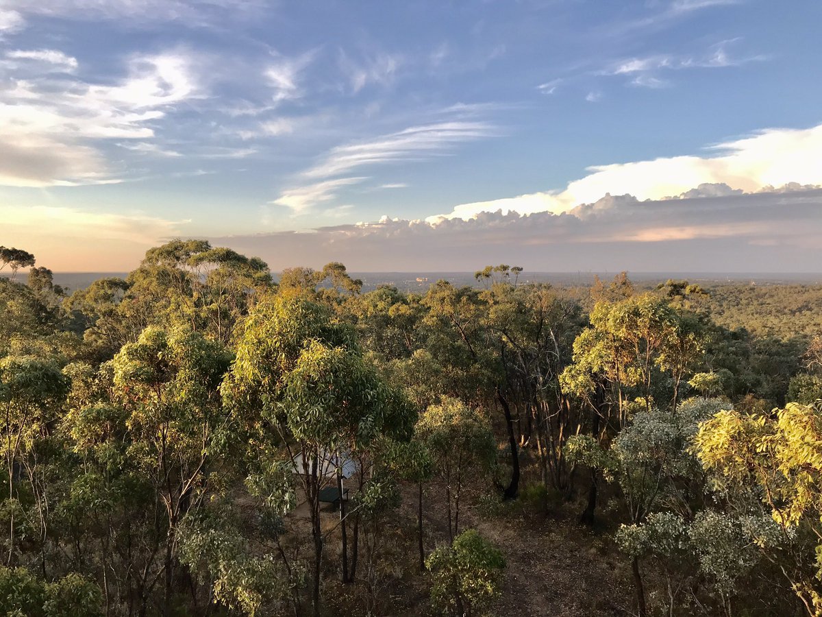 Bendigo, the “city in the forest”. 
#bendigo #onetreehill #victoria #centralvictoria #boxironbarkforest #mallee #nativevegetation #djadjawurrungcountry #home