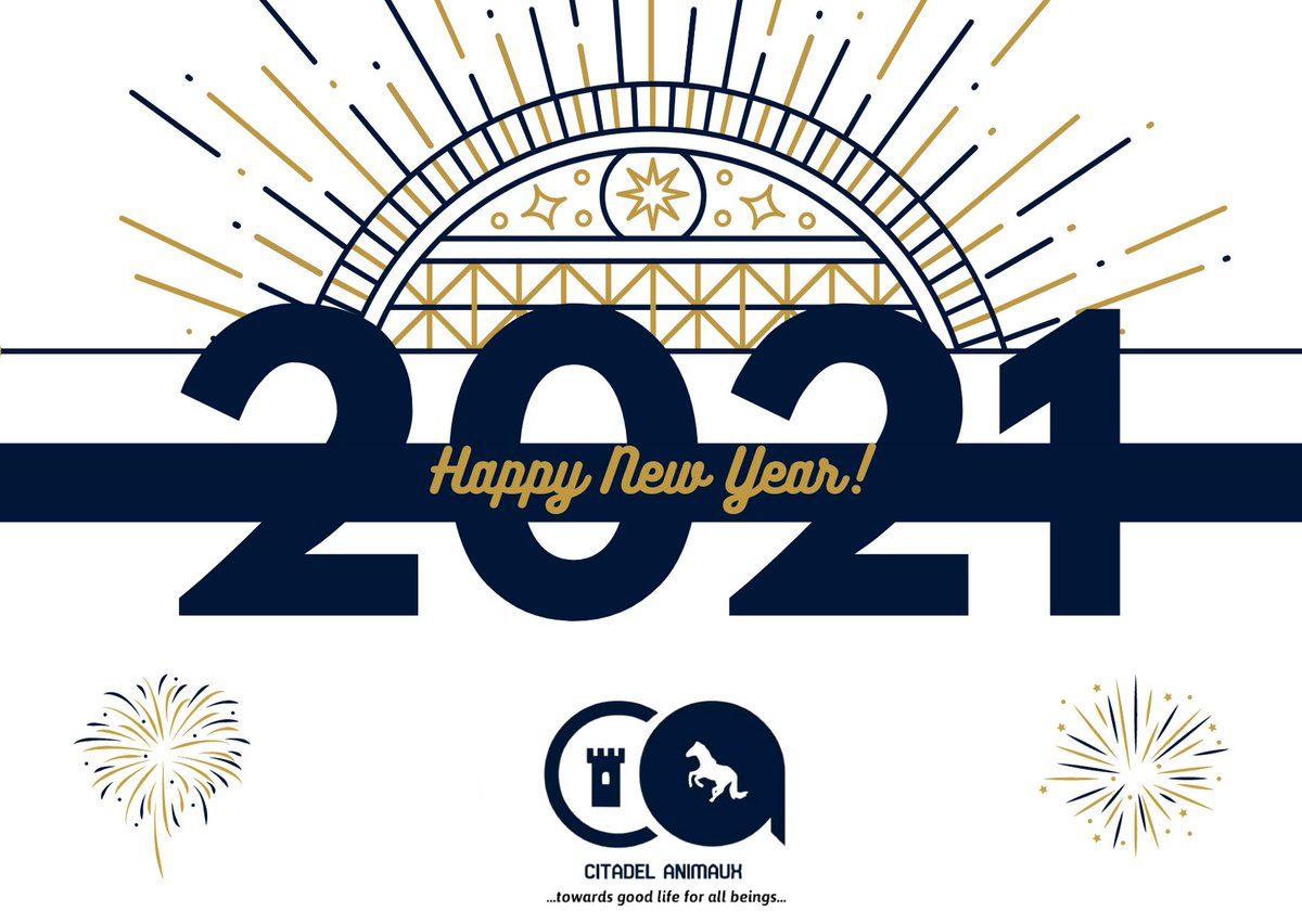 ay_dauda's tweet photo. Happy new year! 

@AmbuvetsK @novometrix_inc @AnimauxCitadel https://t.co/EMRj8s1KYY