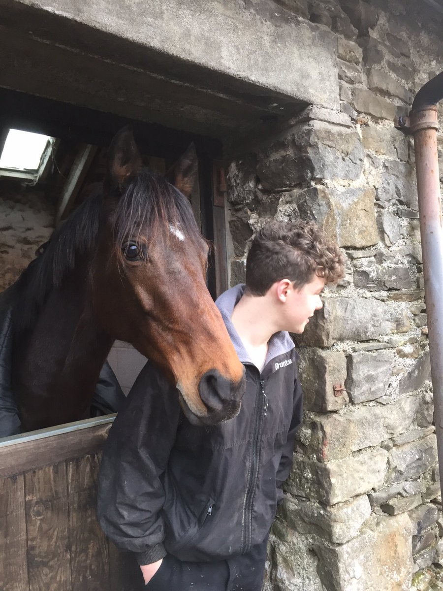 tarnbrookstud's tweet image. 2020 - the year that just keeps on taking!
RIP Monterey (Alice) - Montjeu x Magnificient Style 23rd April 2007 - 31st December 2020
Just the most beautiful Diva ever 
99% Angel 1% Devil incarnate but the most amazing bond with Zak
It’s been a tough day....💔💔