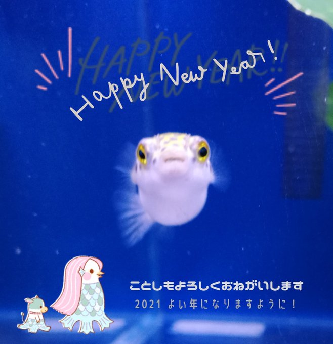 青コリのtwitterイラスト検索結果 青コリのtwitterイラスト検索結果