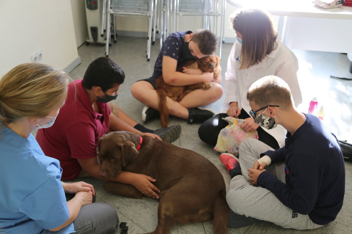 #SabiesQue la teràpia assistida amb gossos 🐕 és eficaç en el tractament d'infants amb síndrome alcohòlica fetal? Així ho ha demostrava un estudi pioner de Vall d'Hebron 

Col·laboren <a href="/GRUPO_CTAC/">CTAC</a> i <a href="/FProbitas/">Fundación Probitas</a>

Més sobre l'estudi a vhc.cat/SAF-gossos