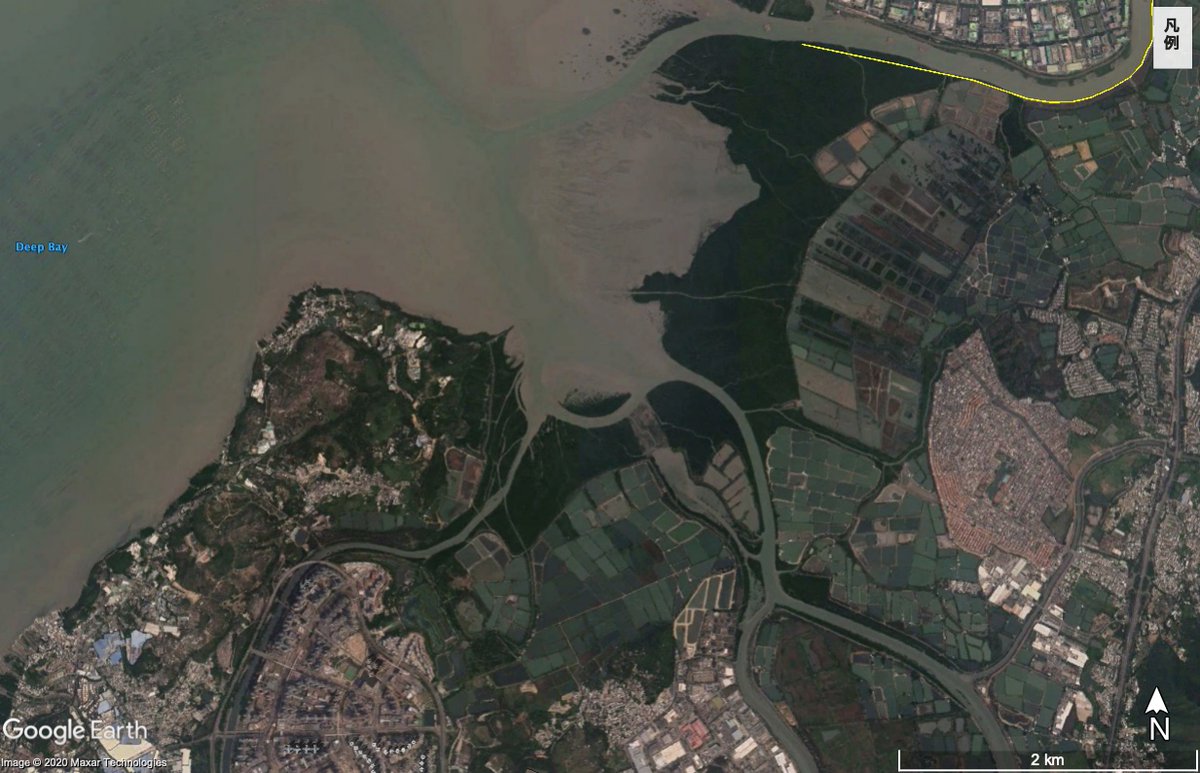 眼遊 Ganyu 海老は美味い 大好き だけど 忘れてはいけないのが どういう場所で養殖されているか Google Earthの写真ですが これはバーダーに有名な香港のmaipo 海岸に見える緑の部分はマングローブ その横にある四角いところはマングローブを