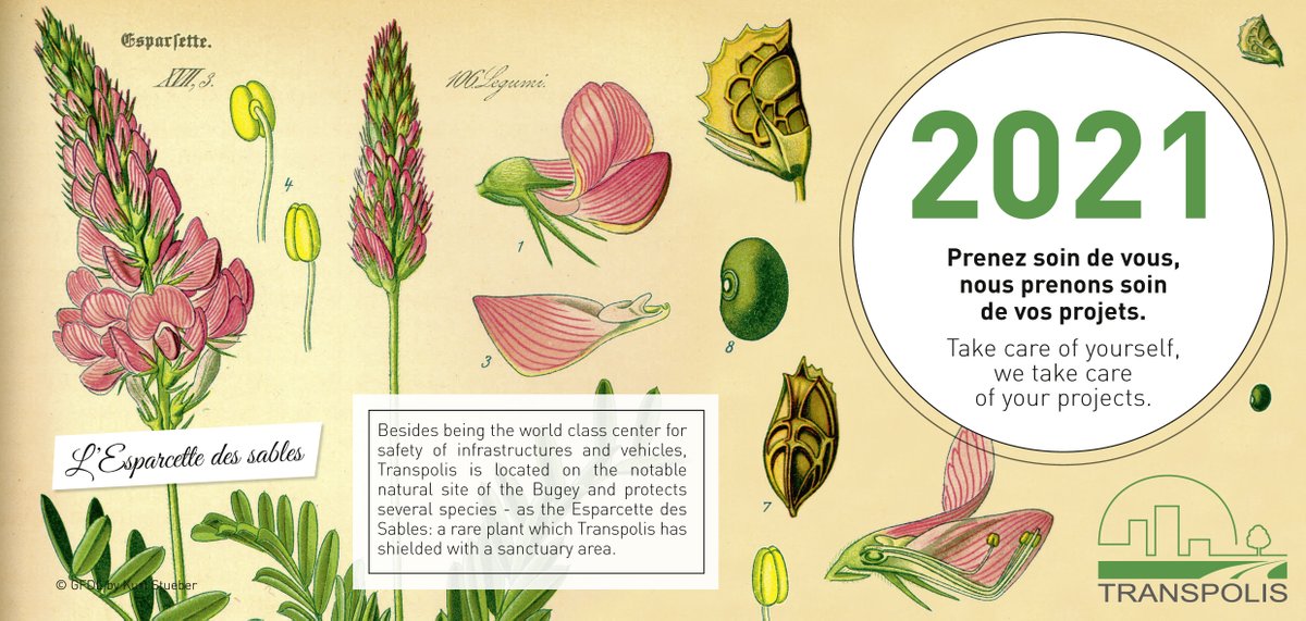 <a href="/TRANSPOLIS/">TRANSPOLIS</a>  team wishes you all the best for 2021 !
We look forward to working with you for this new year. 
#hello2021 #transpolis